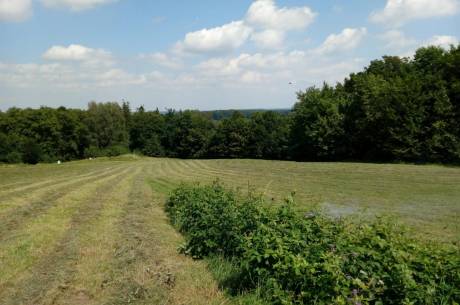 ox_dzialka-budowlano-rolna-w-zamarskach-kcieszyna