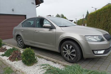 ox_skoda-octavia-iii-14-tsi-krajowa-2013r-146-tys-km