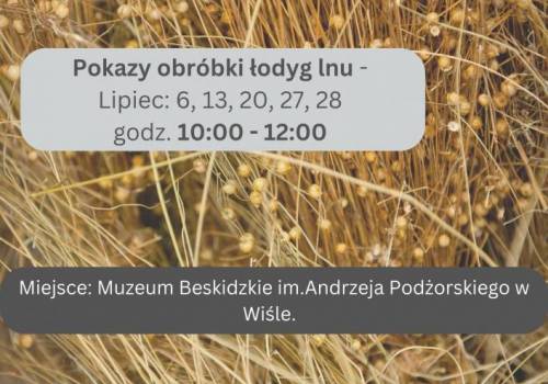 Pokaz obróbki łodyg lnu